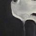 tattoo galleries/ - Skull, Oil on gesso board,framed